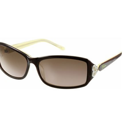 Harley_Davidson_HDS_808_Women_Sunglasses_brown1.jpg