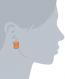 Betsey_Johnson_Safari_Hippo_Face_Stud_Earrings3.jpg