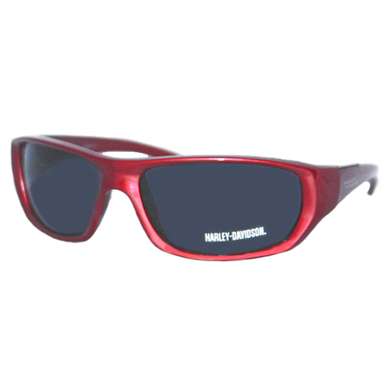 Harley Davidson HDS 506 Men's Wrap Sunglasses