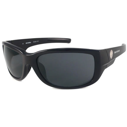 Harley Davidson HDS 573 Men's Wrap Sunglasses