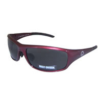 Harley-Davidson-HDS-531-Men-Sunglasses0.jpg