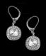 Round Silver Crystal Drop Earrings 1