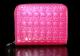 Hot Pink Skull Small Zip Wallet