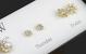 Limited Edition Stud Earrings Set 2