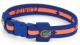 Eagles Wings Florida Gators Titanium Sport Bracelet