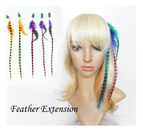 Mane Colors Clip-In Feather Hair Extensions Set