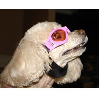 Dog Sunglasses in Pink