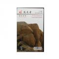 DL Sports Medicine Kinesiology Pre-cut Tape Hiker Series for Leg Support