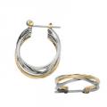 Hoop Earrings in Silver and Gold 