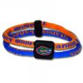 NCAA Titanium Band - Florida Gators 