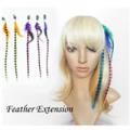 Mane Colors Clip-In Feather Hair Extensions Set