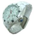 Plasteramic Watch