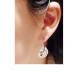 Crystal Drop Earrings 1